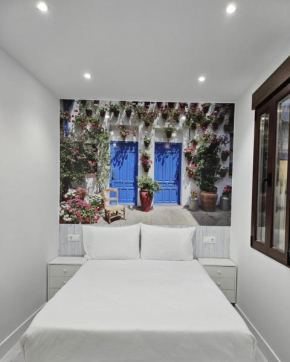 PENSION CIBELES